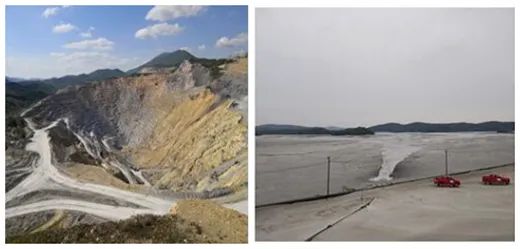 聚焦四新業(yè)務(wù)||喜訊！臥龍電驅(qū)大型驅(qū)動集團TD(圖2)