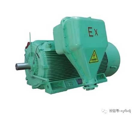 高壓防爆電機(jī)常見故障分析(圖1)