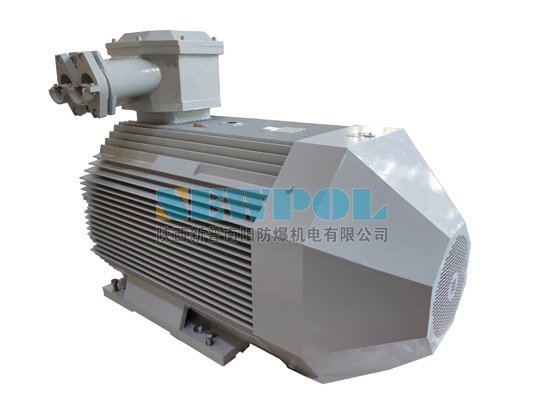 YBX4 系列高效率低壓隔爆型三相異步電動(dòng)機(jī)
