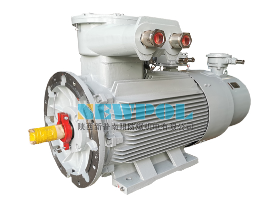 YBBP 系列隔爆型變頻調(diào)速三相異步電動機（機座號