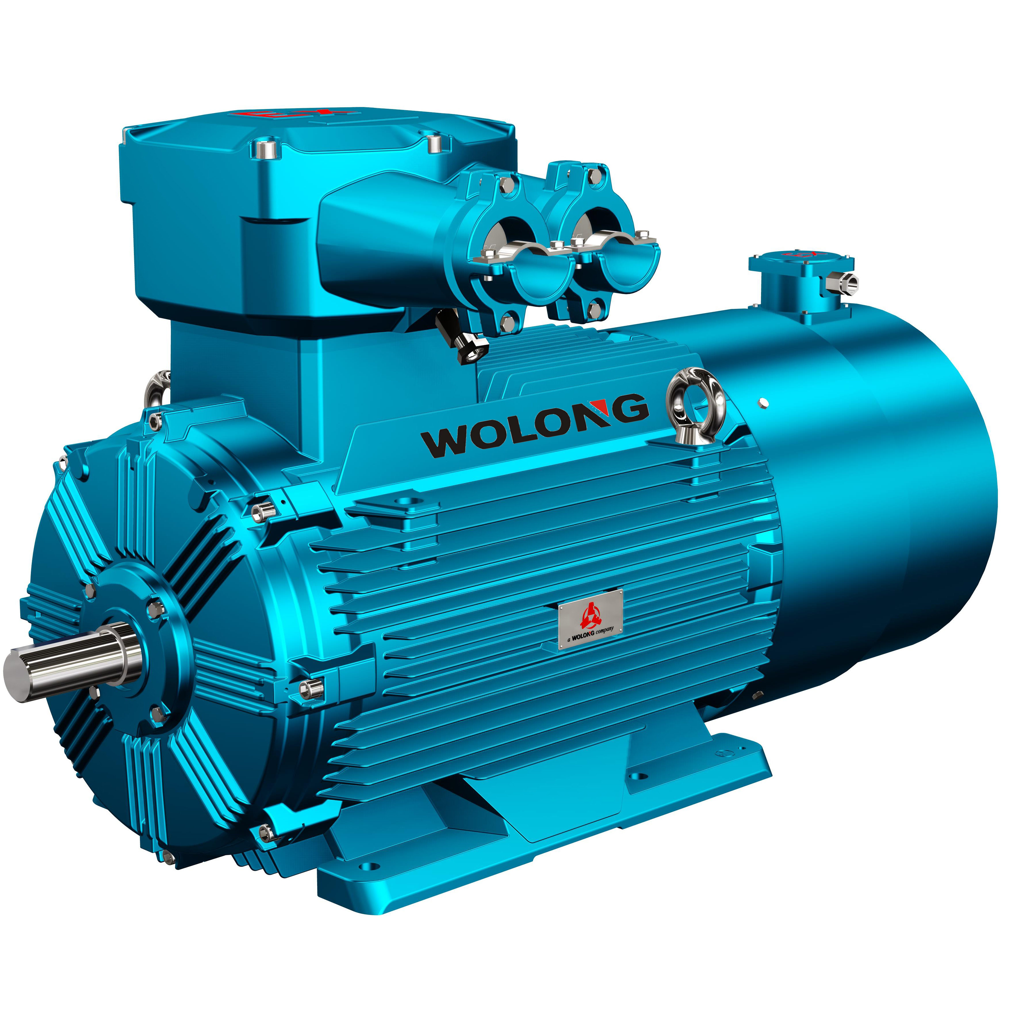 YBBP Low Voltage Variable Frequency Exproof Motor(圖1) 已傳YBBP變頻防爆.jpg