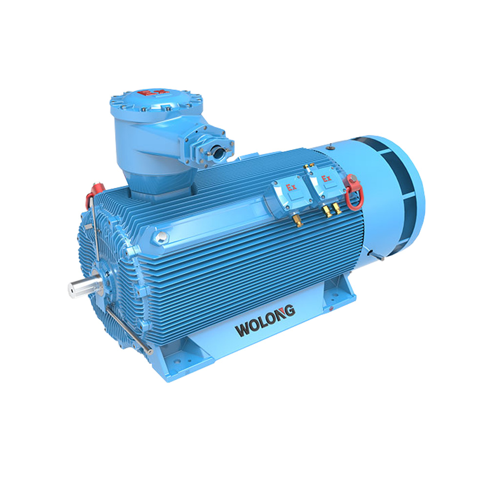 YAKK/YAKS 6KV 10KV series HV motor