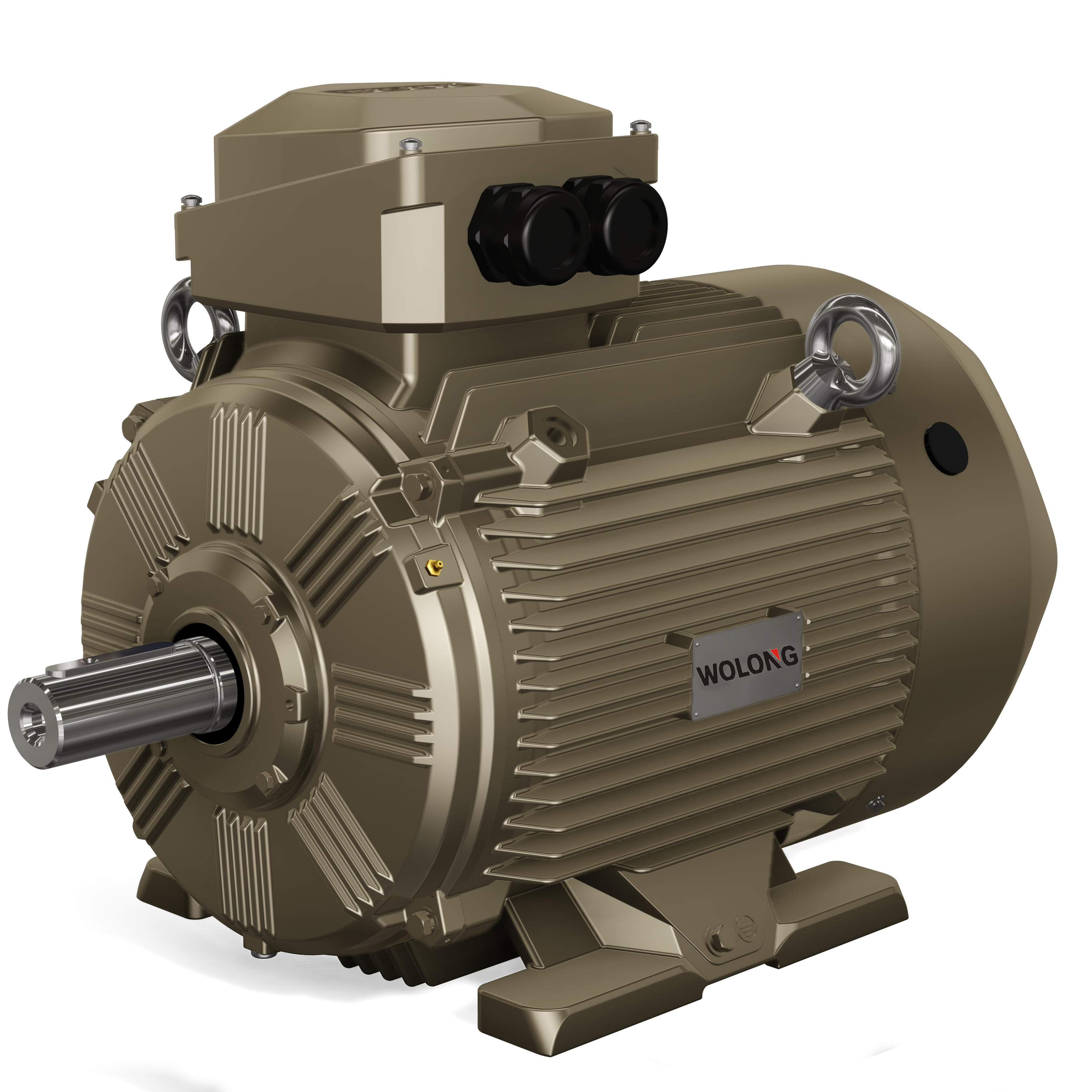 WE4/WE3 series ultra-efficient three-phase AC motor(圖1) 已傳Wolong WE3.jpg