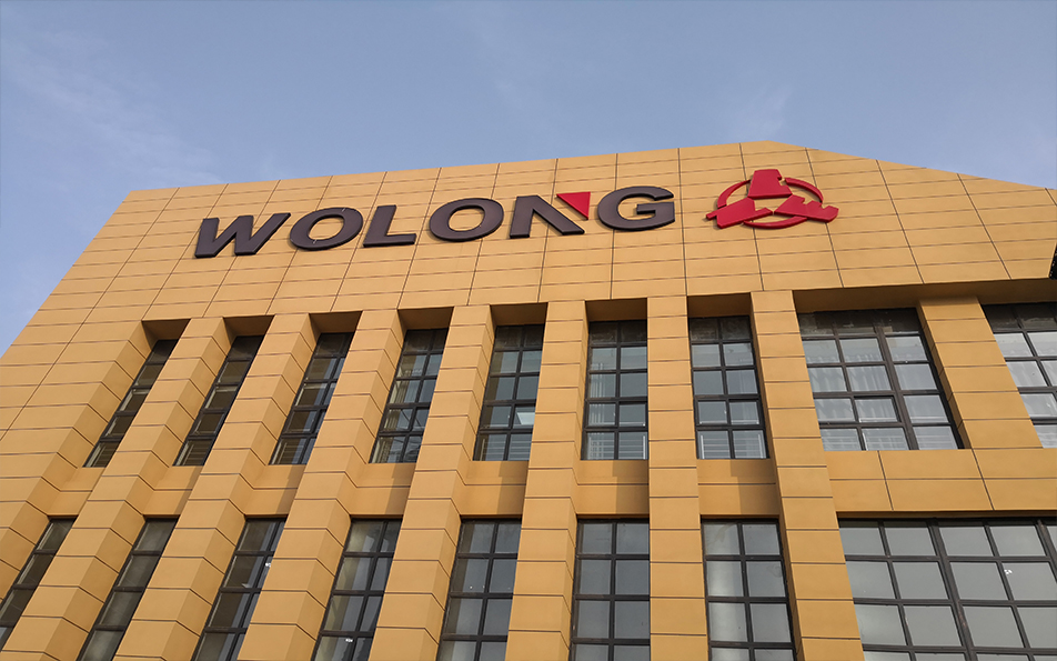 臥龍南陽高壓防爆電機：在極端環(huán)境下的安全與效能典范