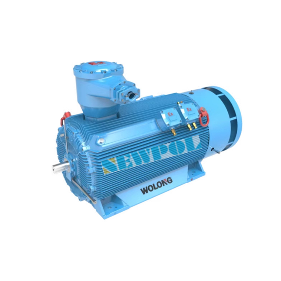 高效變革:低壓大功率變頻調(diào)速永磁同步電動機的創(chuàng)新之舉(圖1) 2-220414212G0405.jpg