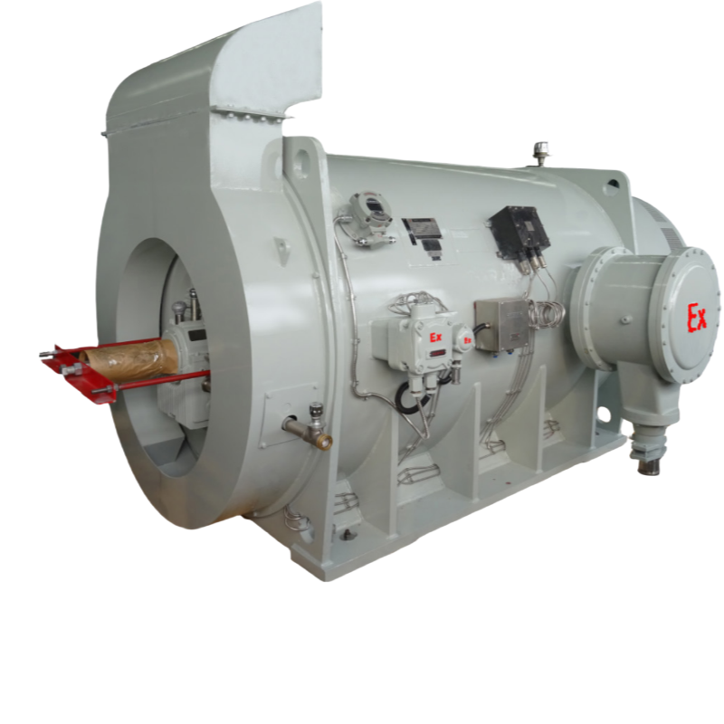 YBBPX系列高壓變頻防爆電機(jī)無(wú)法啟動(dòng)的原因(圖1) YBBPX系列高壓隔爆型變頻調(diào)速三相異步電動(dòng)機(jī).png