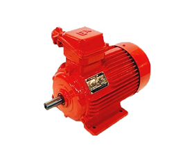YFB5系列粉塵防爆三相異步電動(dòng)機(jī)(圖1) q.jpg