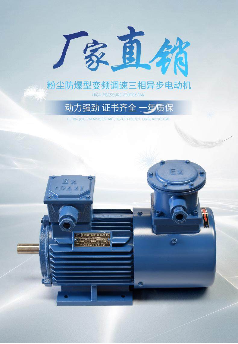 YFBBP3粉塵防爆變頻三相異步電動機(jī)全銅線隔爆(圖1) YFBBP3粉塵防爆變頻三相異步電動機(jī)全銅線隔爆(圖1)