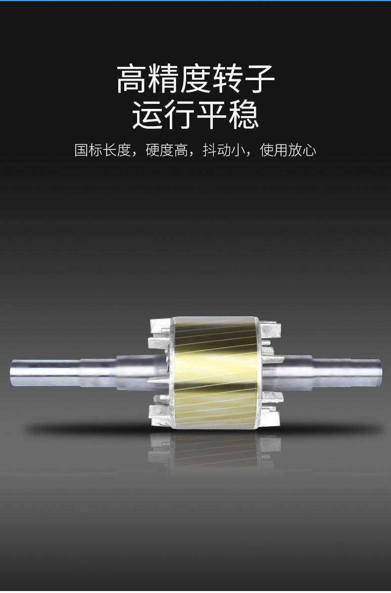 YFBBP3粉塵防爆變頻三相異步電動機(jī)全銅線隔爆(圖8) YFBBP3粉塵防爆變頻三相異步電動機(jī)全銅線隔爆(圖8)