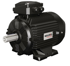 電機(jī) 被列入國家首批產(chǎn)品碳足跡標(biāo)識認(rèn)證試點(diǎn)名單