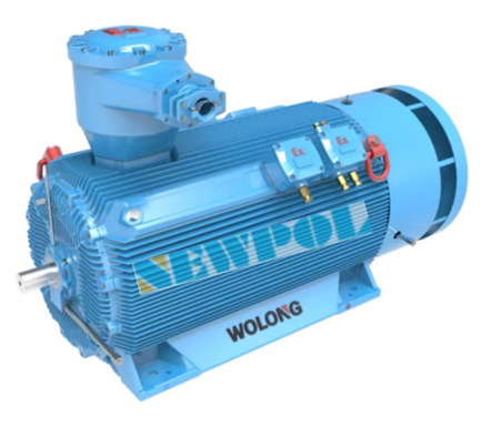 防爆電機常見問題解析:防爆等級的重要性及選擇(圖1) image.png