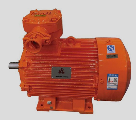 防爆電機(jī)的電氣線路密封與防護(hù)要求