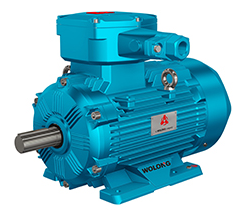 防爆電機(jī)怎么選才靠譜？一篇講透關(guān)鍵參數(shù)與臥龍南陽防爆電機(jī)優(yōu)勢(shì)