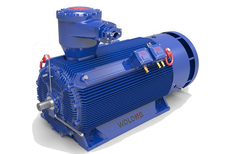 高壓永磁電機(jī)