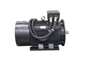 永磁同步電機市場發(fā)展趨勢與未來前景分析