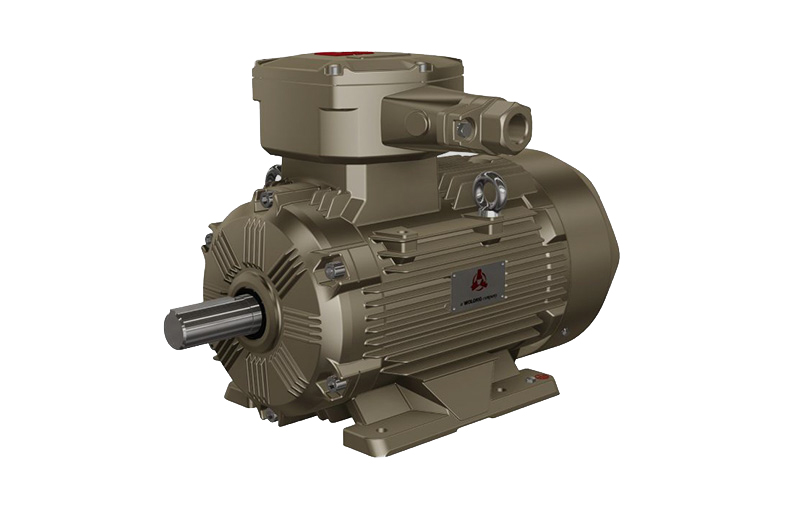 低壓高效 IE4 三相異步電動(dòng)機(jī)