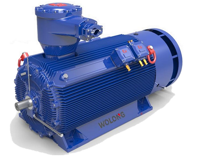 wolong高壓永磁電機(jī)
