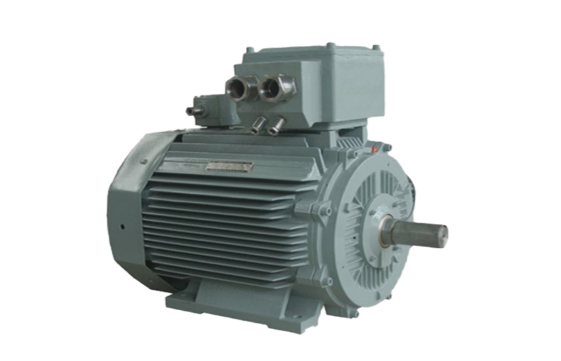 低壓超高效 IE5 三相異步電動(dòng)機(jī)