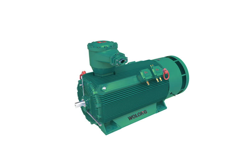 緊湊型隔爆變頻電機(jī)