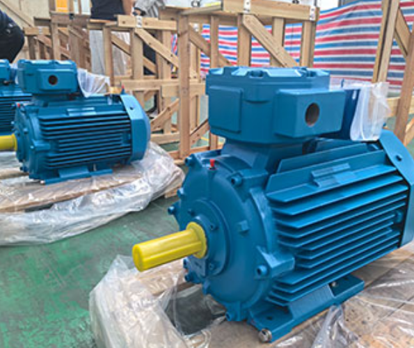 Why Did a Petrochemical Plant Choose Wolong Electric Nanyang Motors for Its AC Explosion Proof Motor Needs?