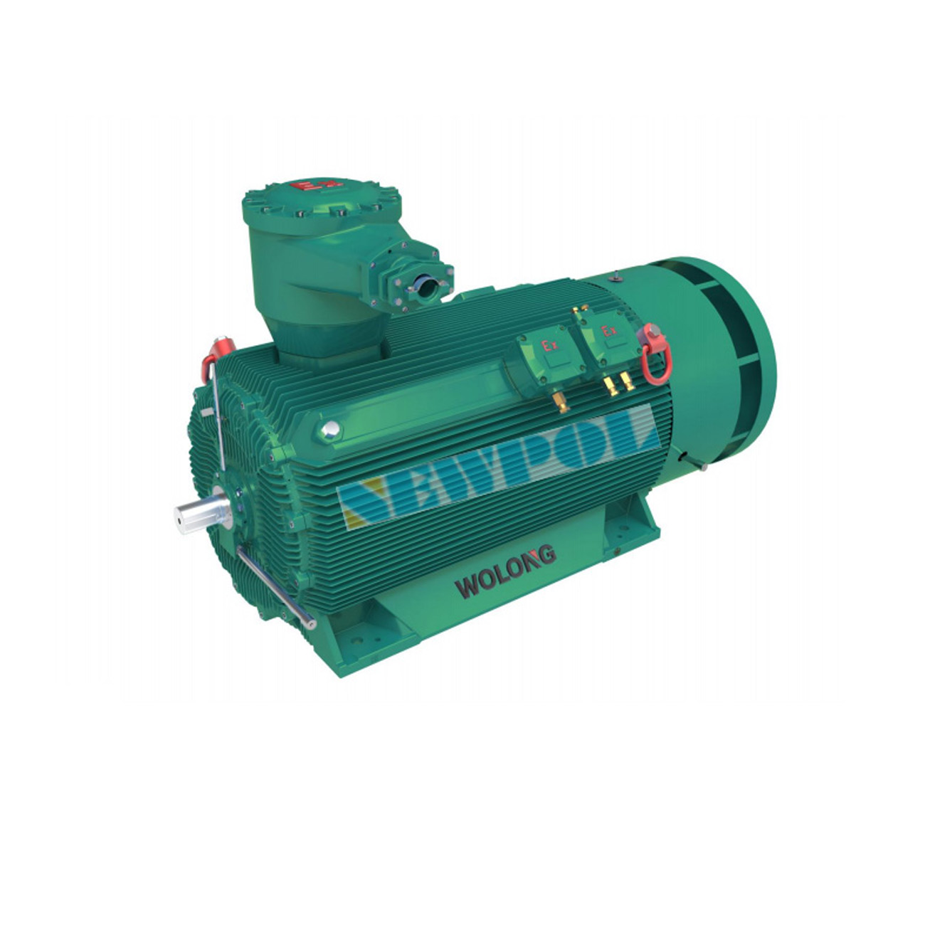 TBYBP系列高壓隔爆變頻永磁三相同步電機(jī)355-560(圖1) TBYBP系列高壓隔爆變頻永磁三相同步電機(jī)355-560(圖1)