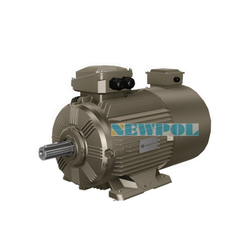 WEBP異步變頻電機(jī)(圖1) WEBP異步變頻電機(jī)(圖1)