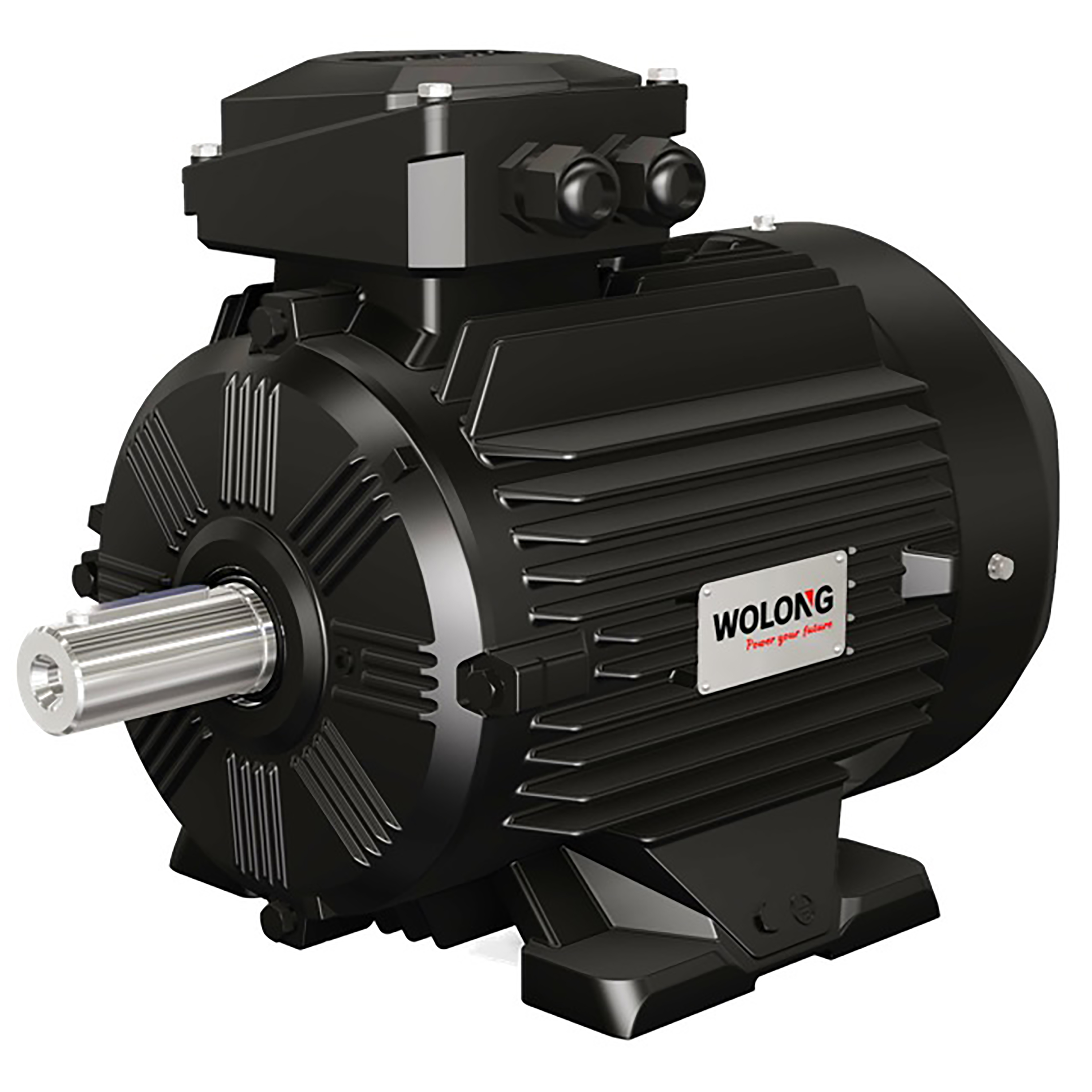 WEPM series variable frequency speed regulation PMSM motor(圖1) 已傳永磁同步.jpg